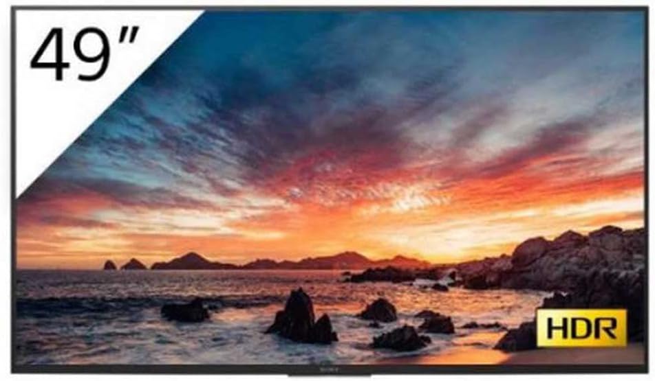 SONY Fernseher, 49 Zoll, schwarz, FWD-49X81H Business Display 4k UHD mit TV-Tuner und Android